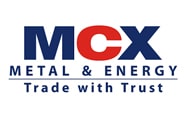 Aryaamoney cerified by MCX logo